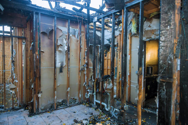 Professional Fire Damage Restoration technician working in Freeburg, IL